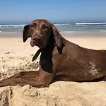 Beachliving