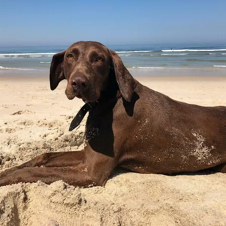Beachliving