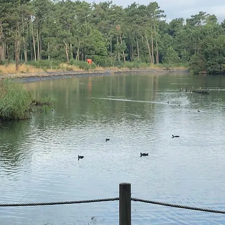 Beachliving * Cortegaça