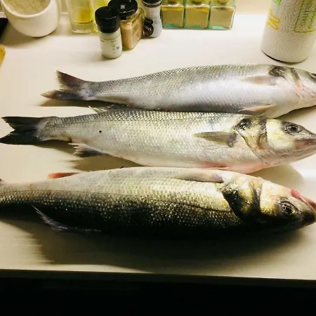 Beachliving * Cortegaça