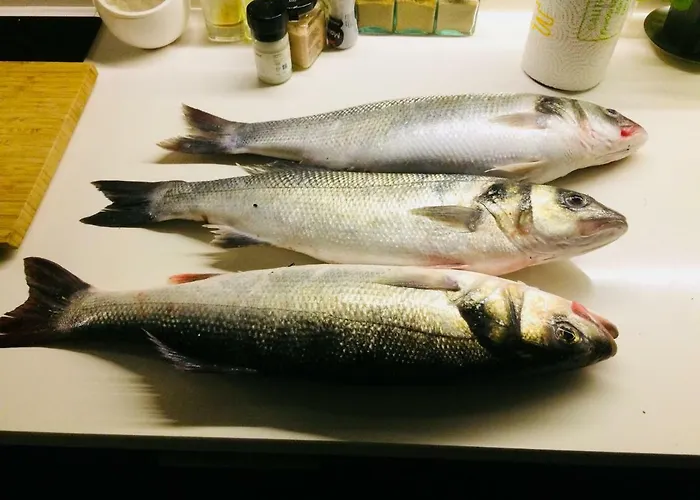 Beachliving * Cortegaça